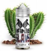 Infamous SLAVS - KAKTUS 20ml (LongFill)