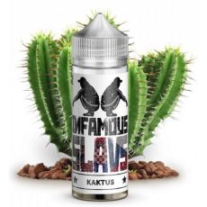 Infamous SLAVS - KAKTUS 20ml (LongFill)