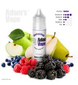 Adam's Vape GARDEN FRUIT - 12ml Longfill