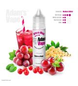 Adam's Vape GRAPE MINT LEMONADE - 12ml Longfill