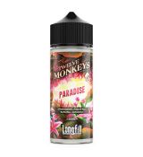 12 MONKEYS OASIS - PARADISE 20ML/120ML(LongFill)