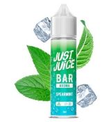 Just Juice Bar Range - Spearmint 12ml LongFill